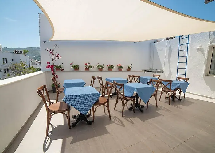 9bodrum 3* Turgutreis