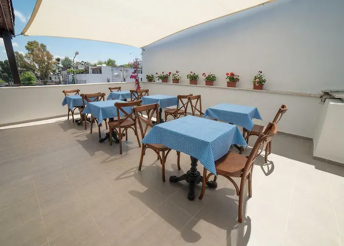 9bodrum 3* Turgutreis