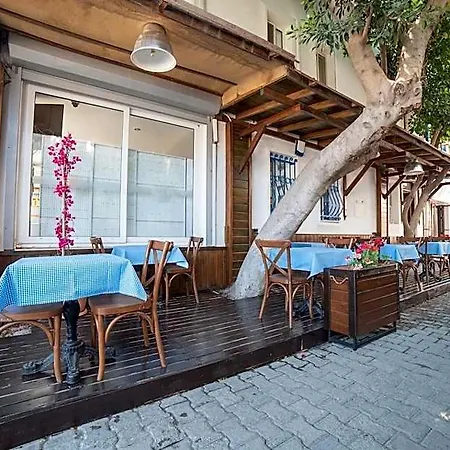 9bodrum 호텔 3*
