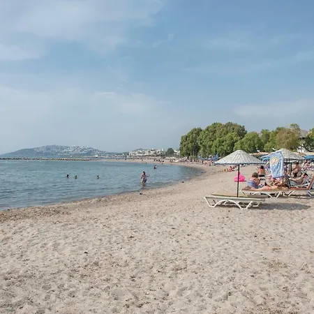 9bodrum Turgutreis